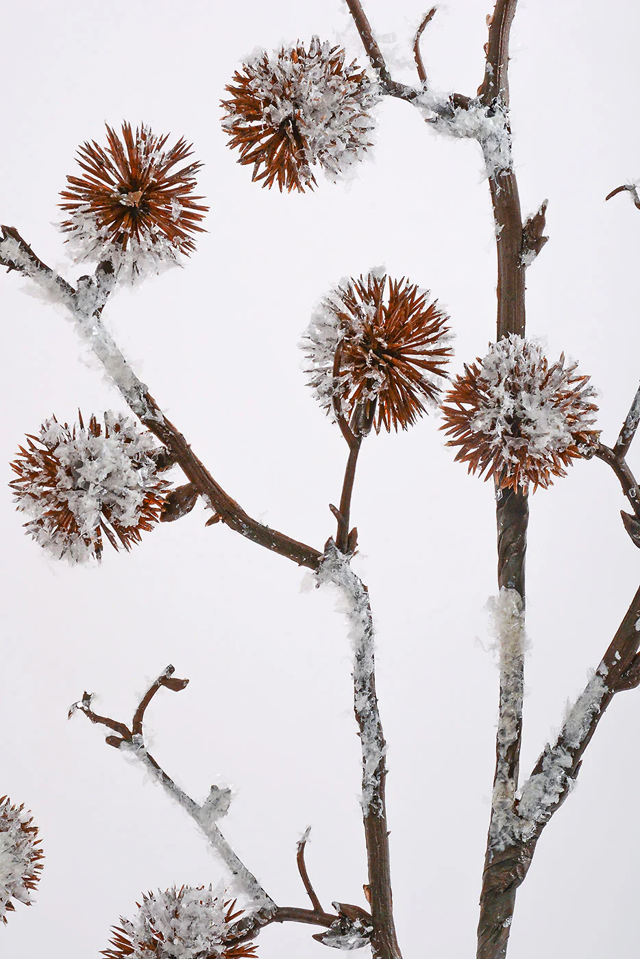 30'' Snowed Thistle Spray Brown - Image 2