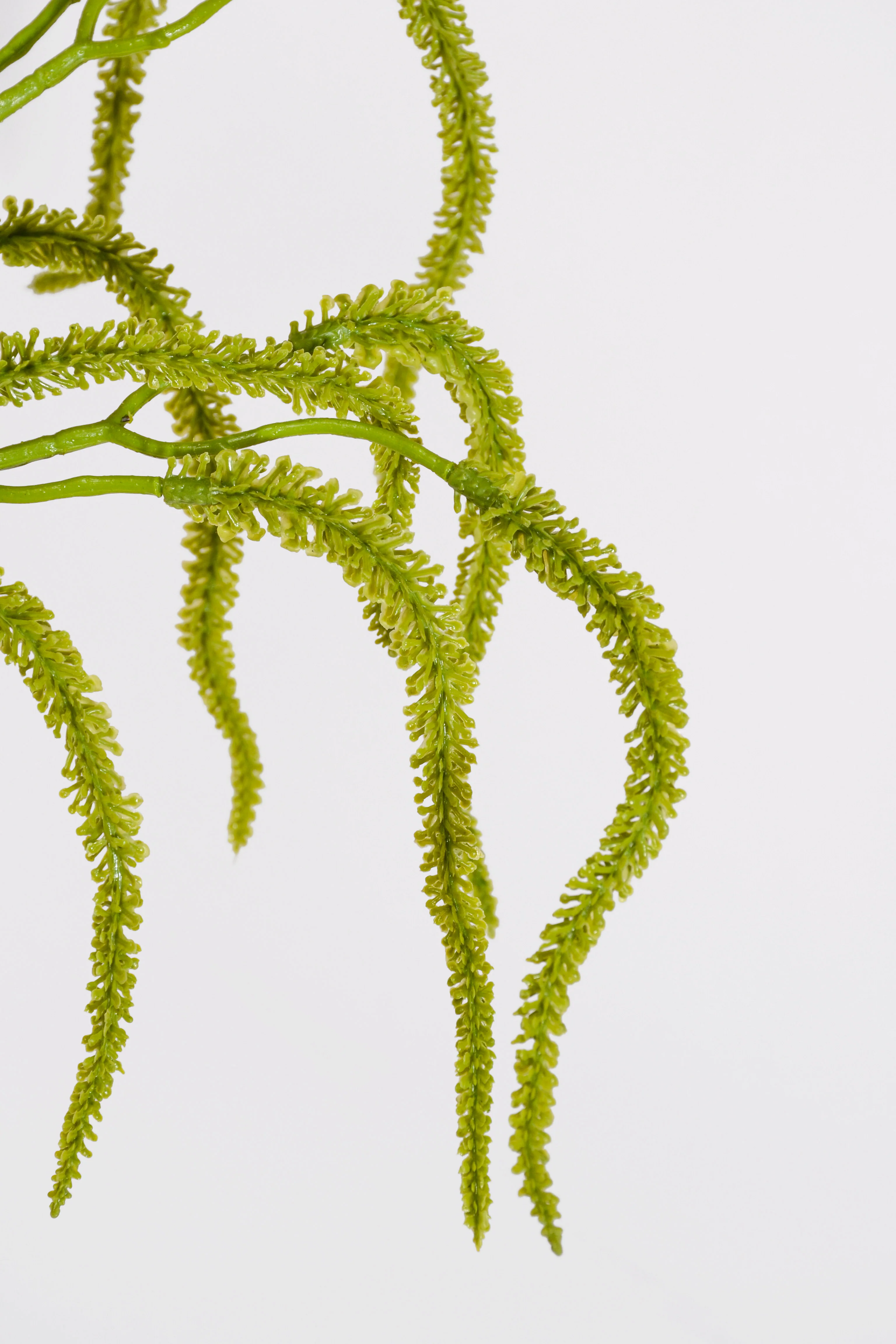 31.5" Artificial Amaranthus Hanging Spray Green - Image 2