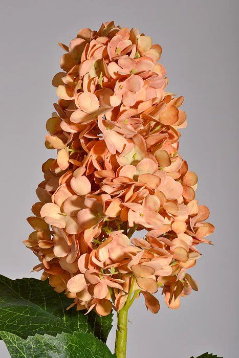 31.5" Silk Hydrangea Spray Caramel - Image 2