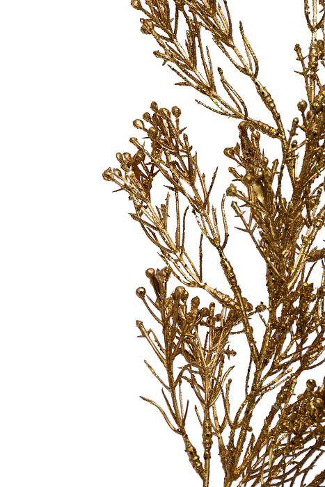 31" Cedar Spray Gold - Image 2