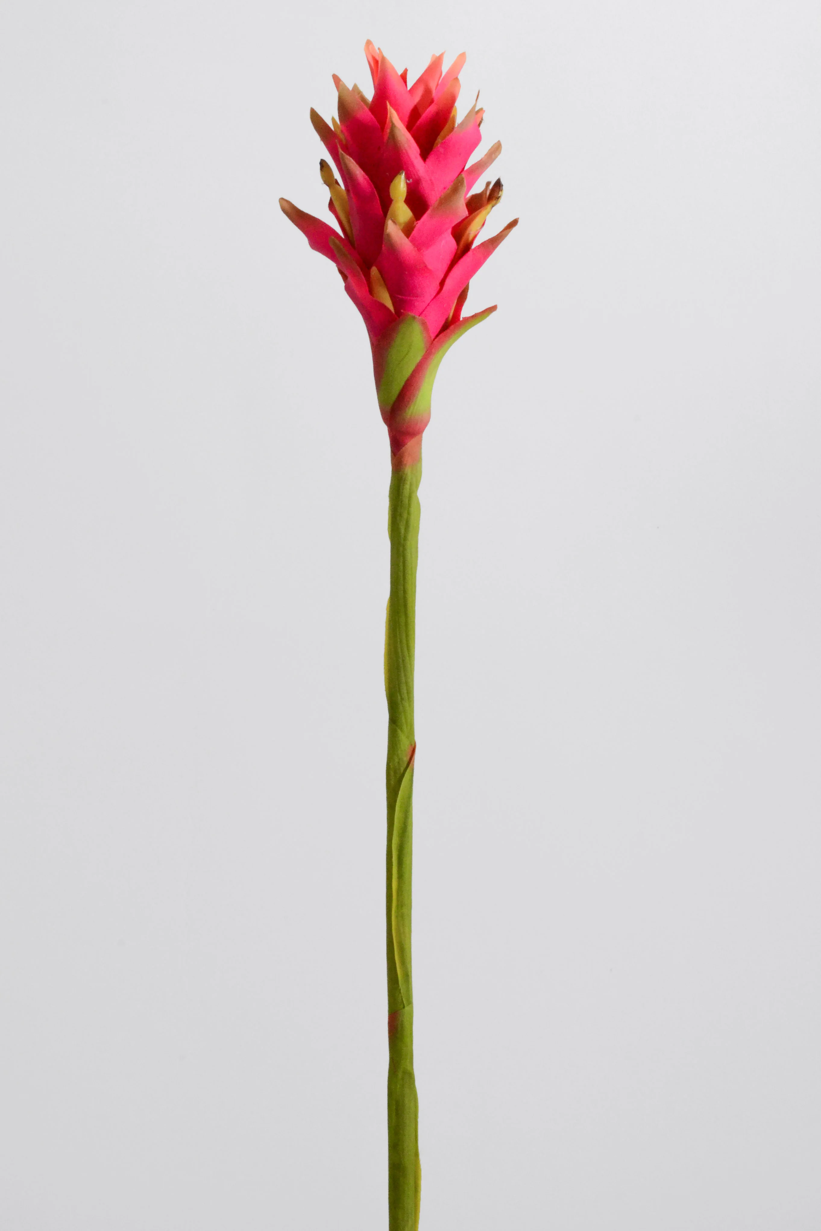 31" Artificial Costa Rican Bromeliad Beauty/Yellow