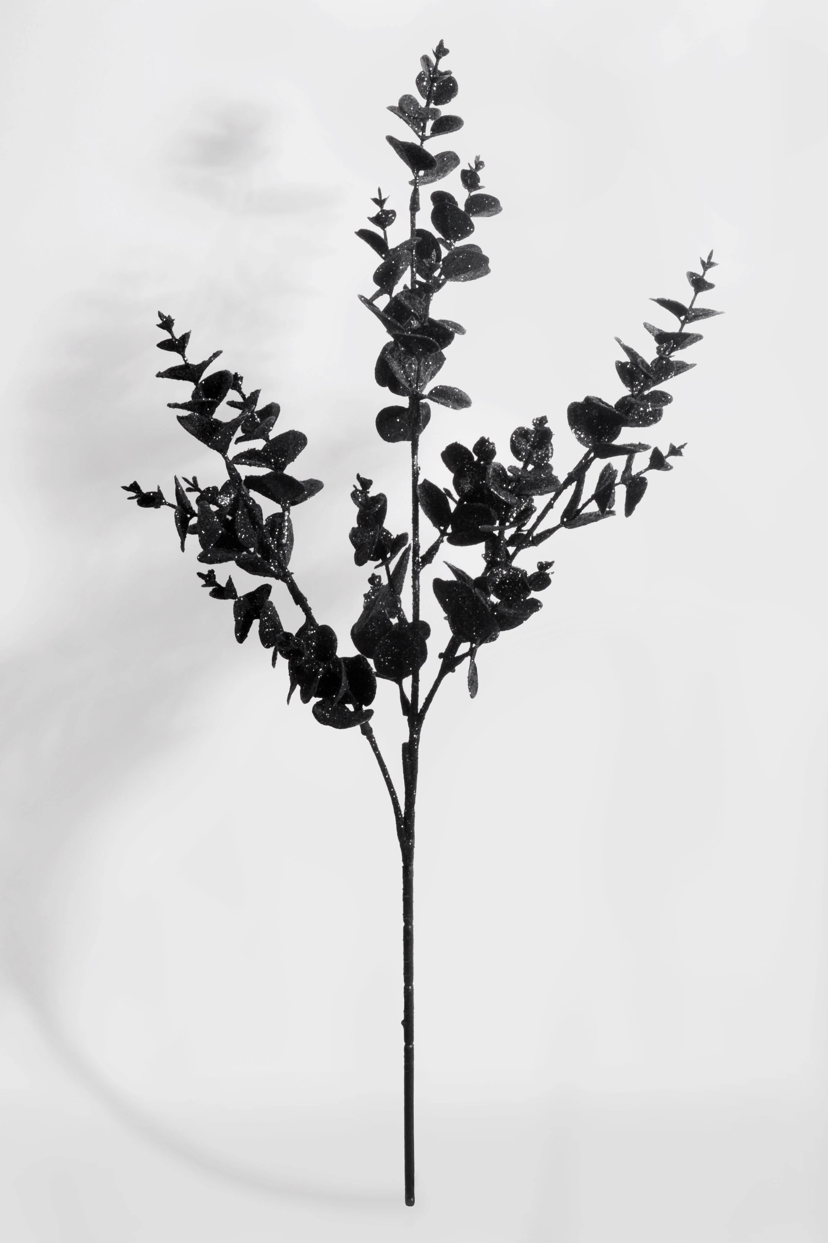 31" Glitter Eucalyptus Spray Black