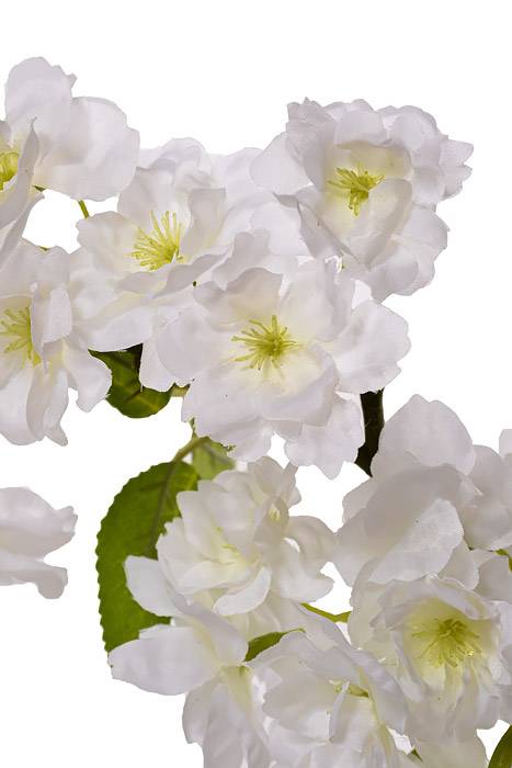 31" Silk Cherry Blossom Spray White - Image 2