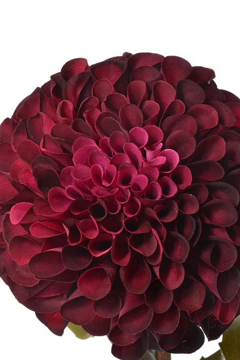 31" Silk Dahlia Spray Burgundy/Orchid - Image 2