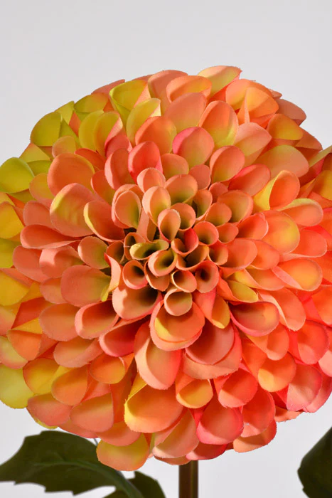 31" Silk Dahlia Spray Sunset - Image 2