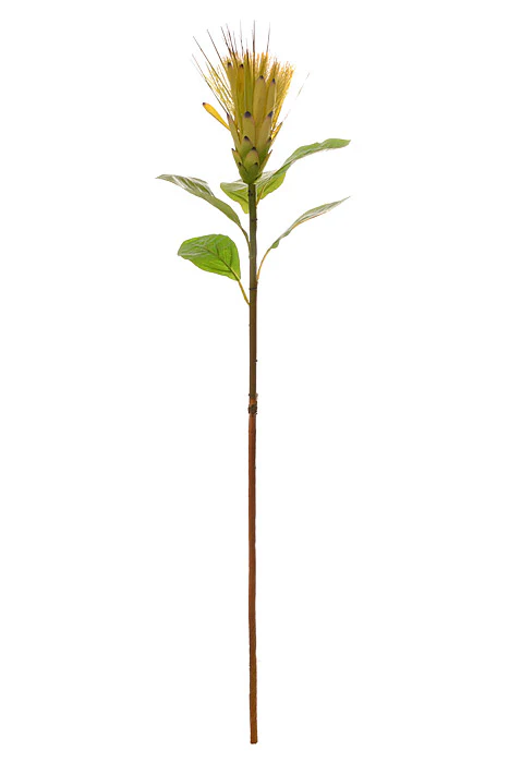 31" Silk Protea Spray Yellow/Green
