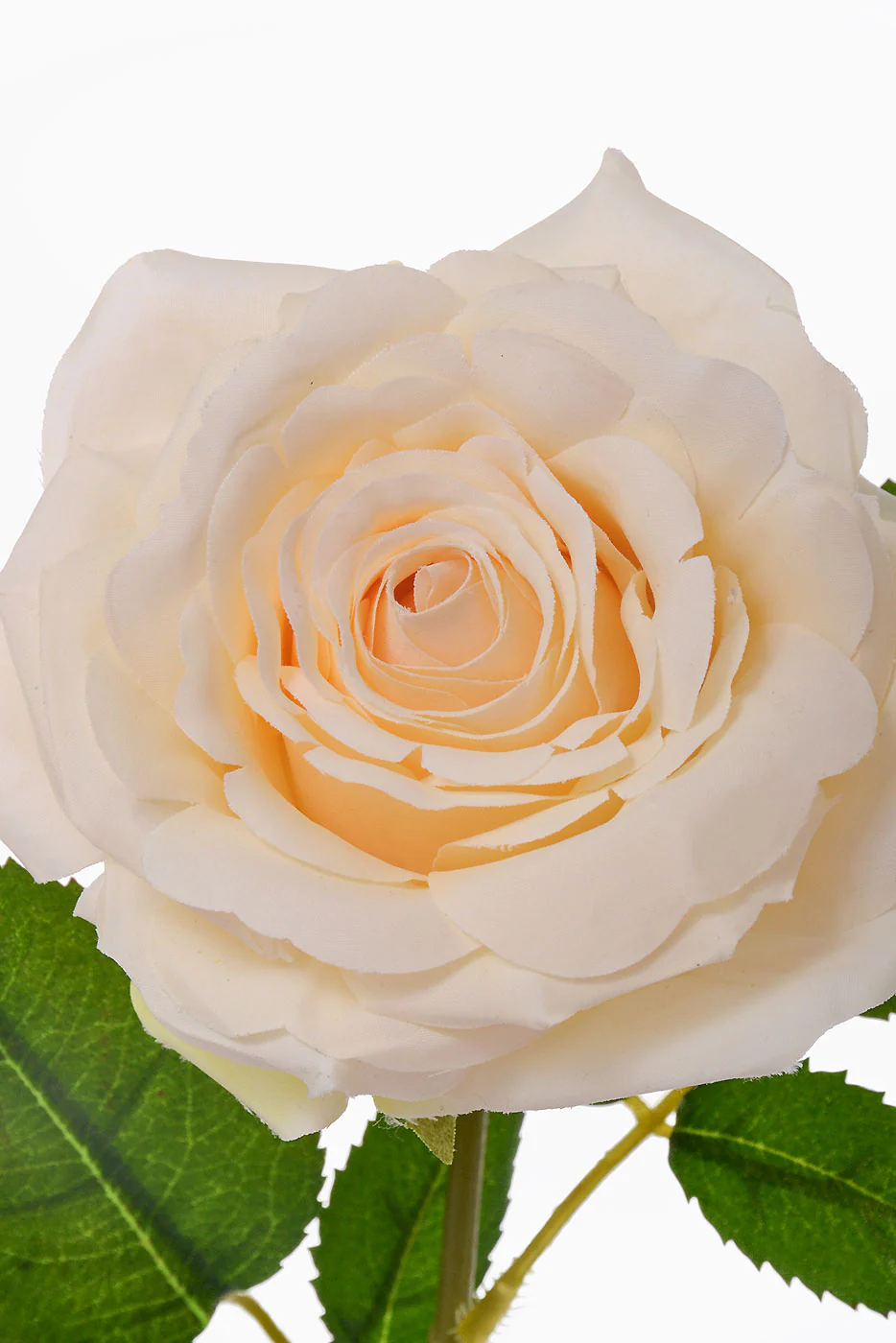 31" Silk Rose Spray Ivory - Image 3