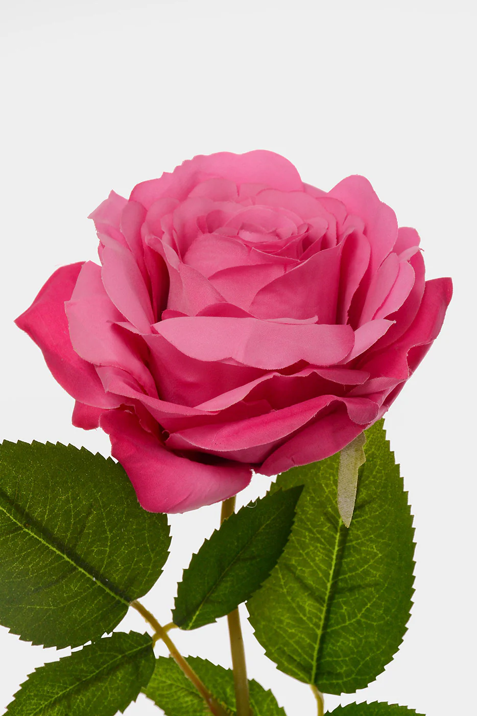 31" Silk Rose Spray Plant Fuchsia - Image 2
