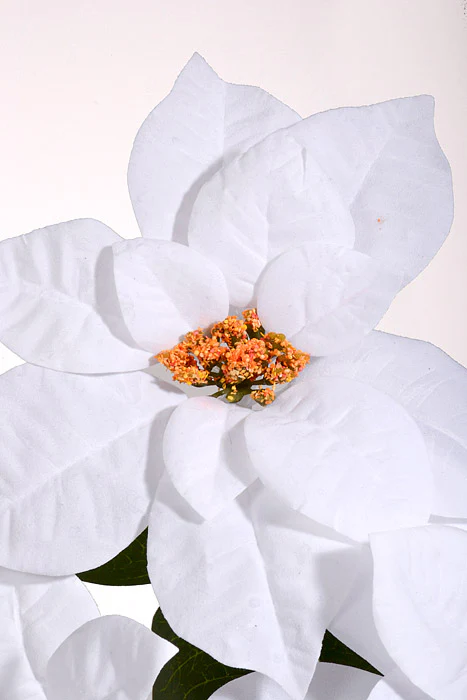 31" Velvet Poinsettia Spray White - Image 2