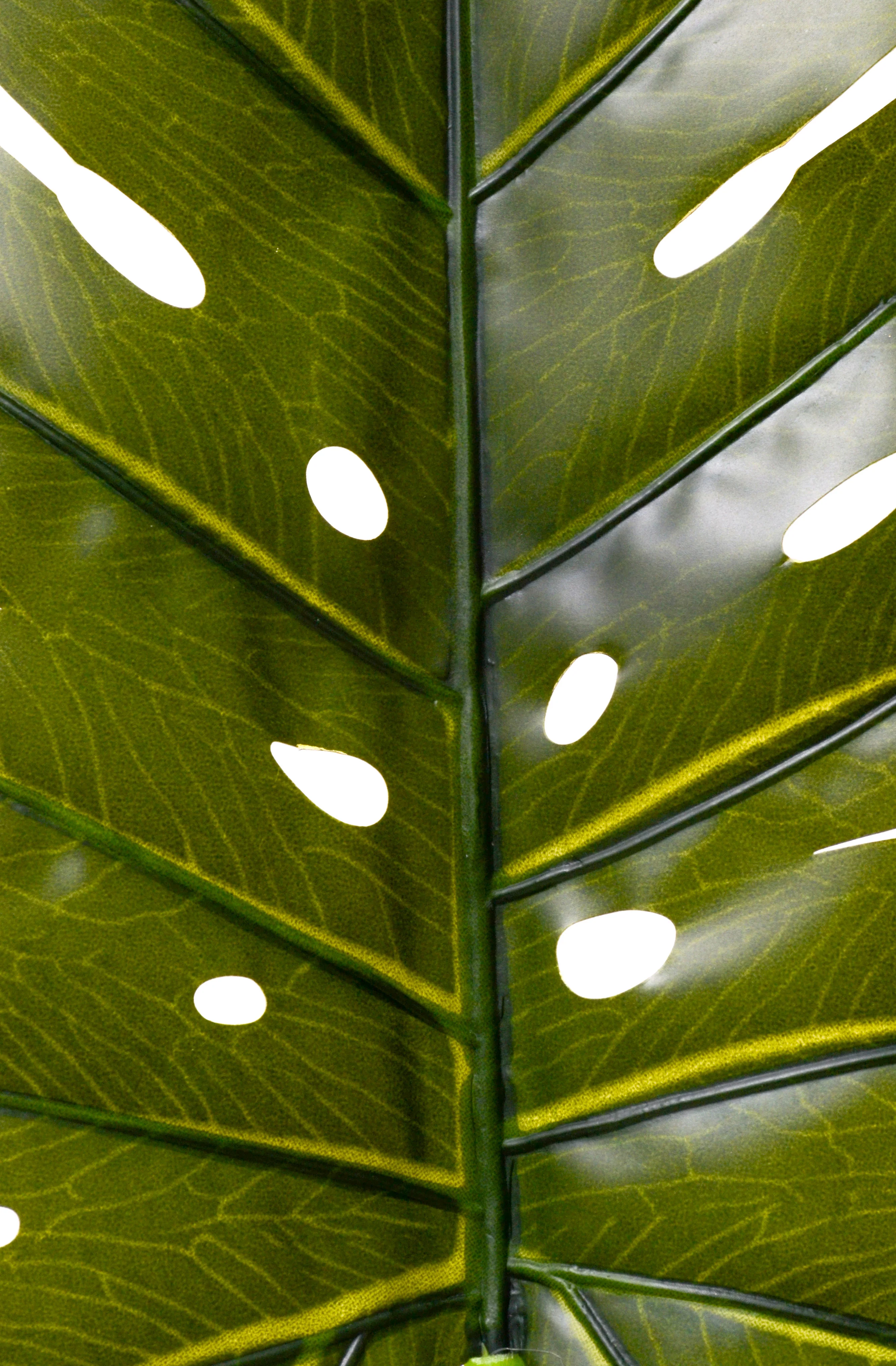 32.5" Monstera Leaf Stem - Image 2