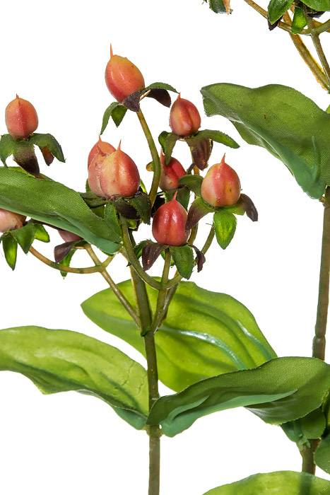 32" Hypericum Spray Orange - Image 2