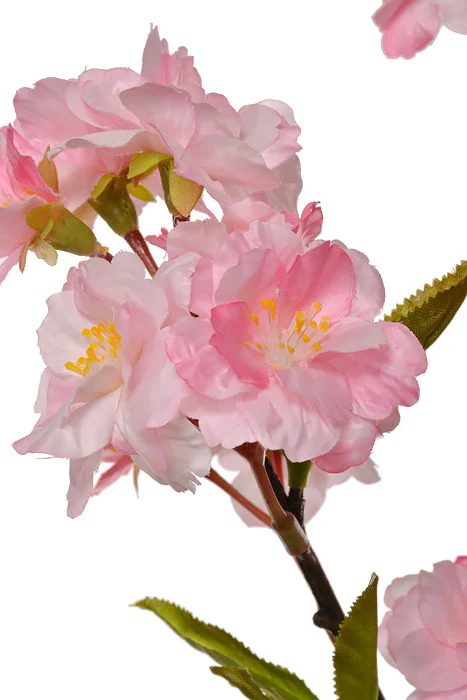 32" Silk Cherry Blossom Spray Pink - Image 2