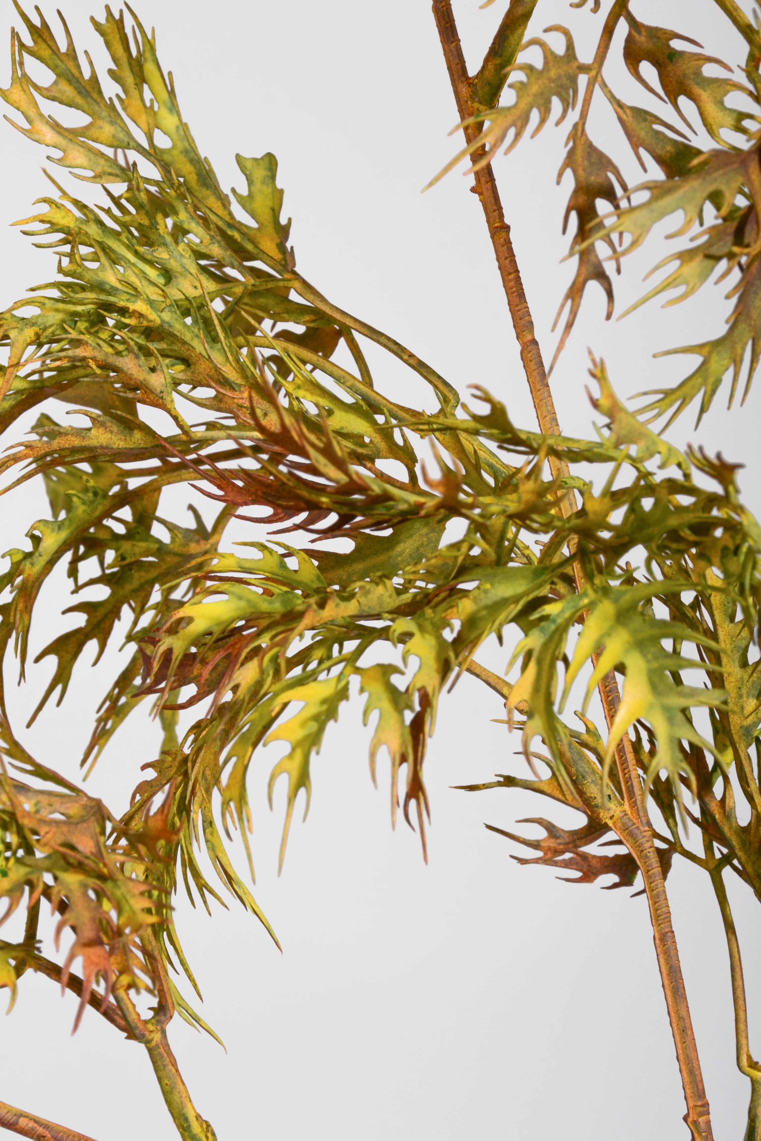 33.5" Artificial Aralia Spray Green - Image 2