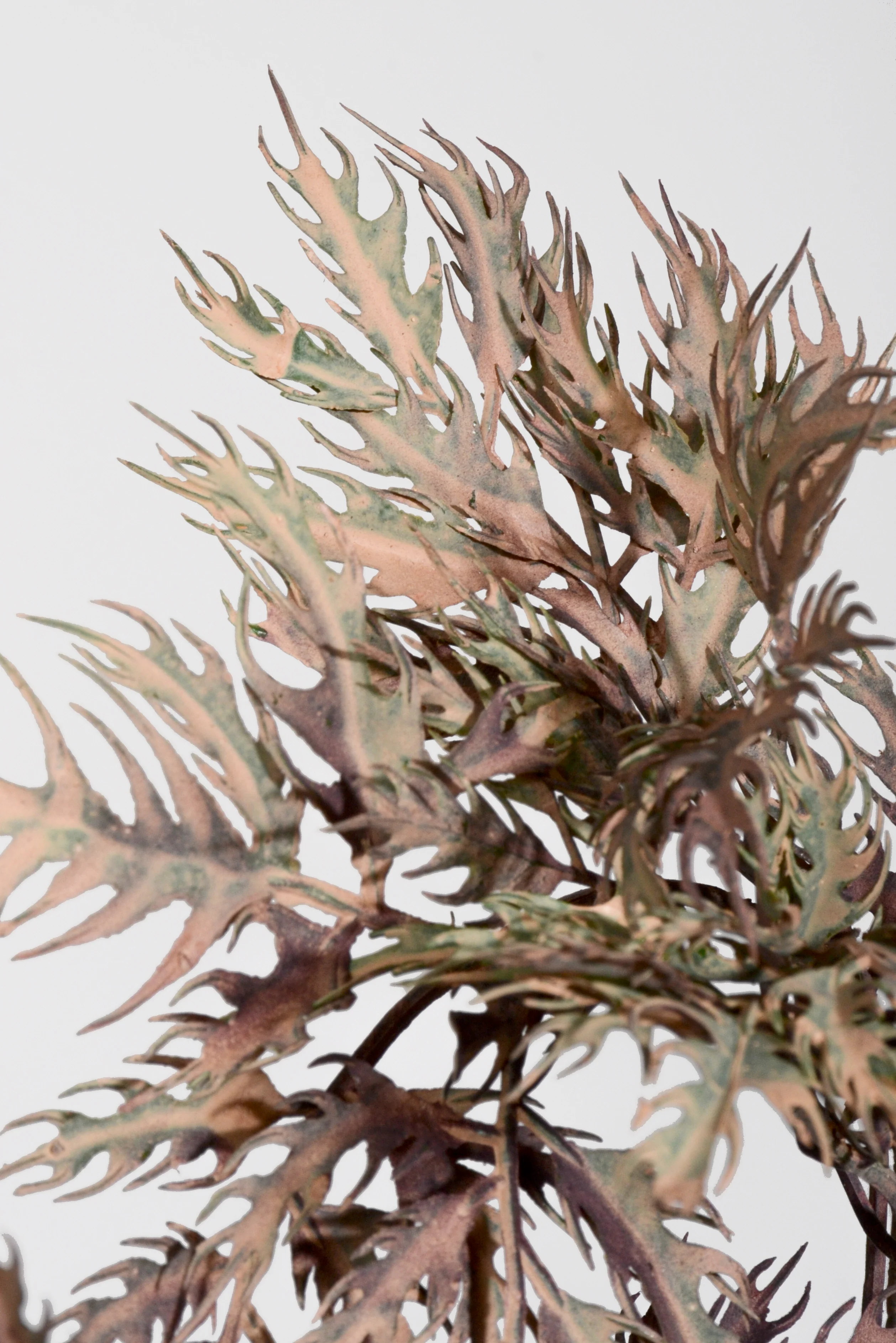 33.5" Artificial Aralia Spray Plum - Image 2