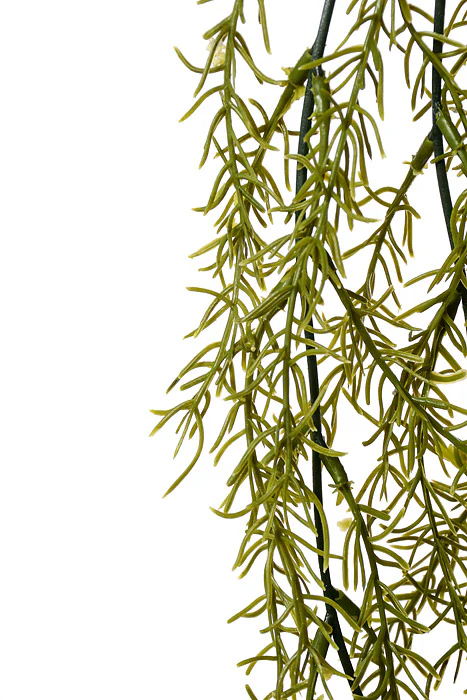 33.5" Rosemary Hanging Bush Light Green - Image 2