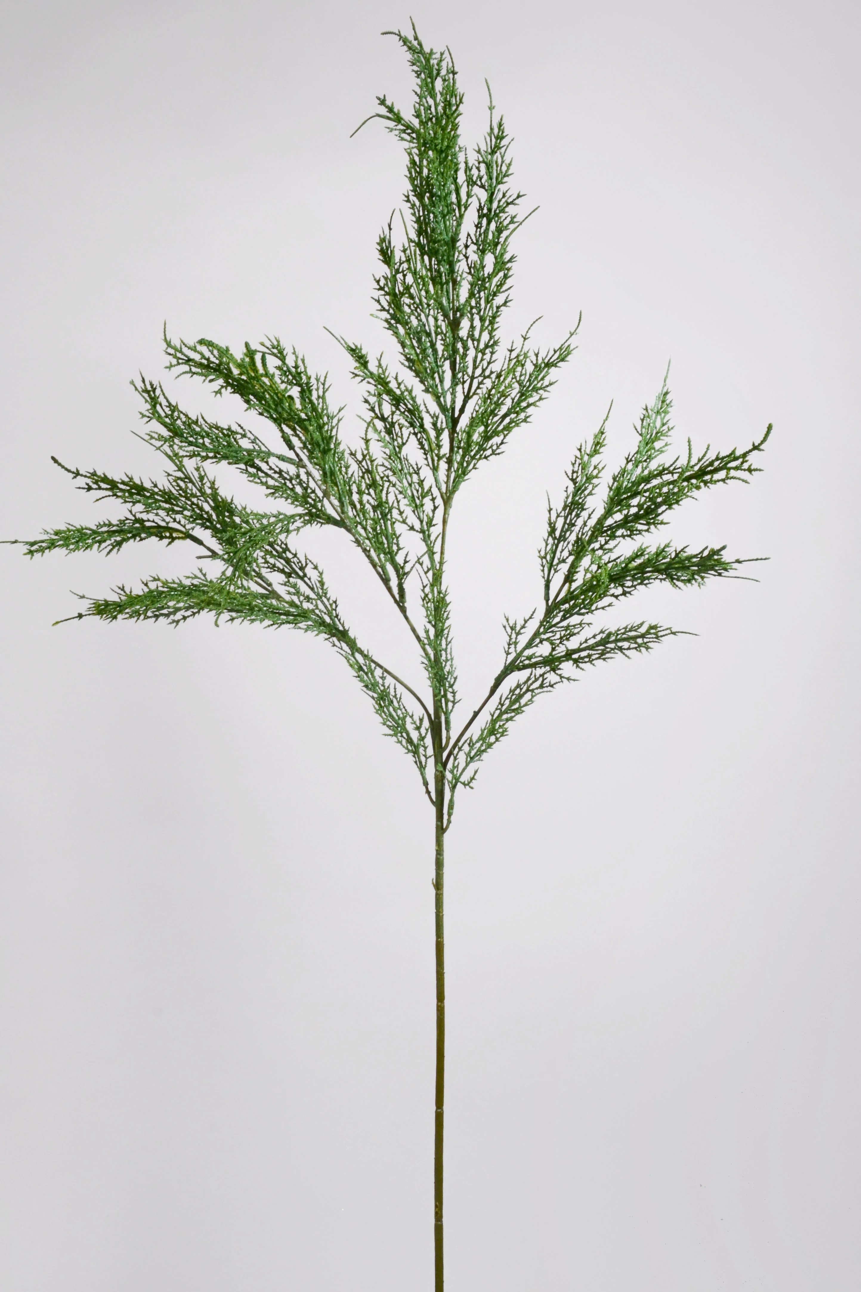 33'' Lebanon Cedar Spray Green