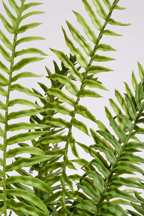 33" Real Touch Ruffle Fern In Pot Green - Image 2