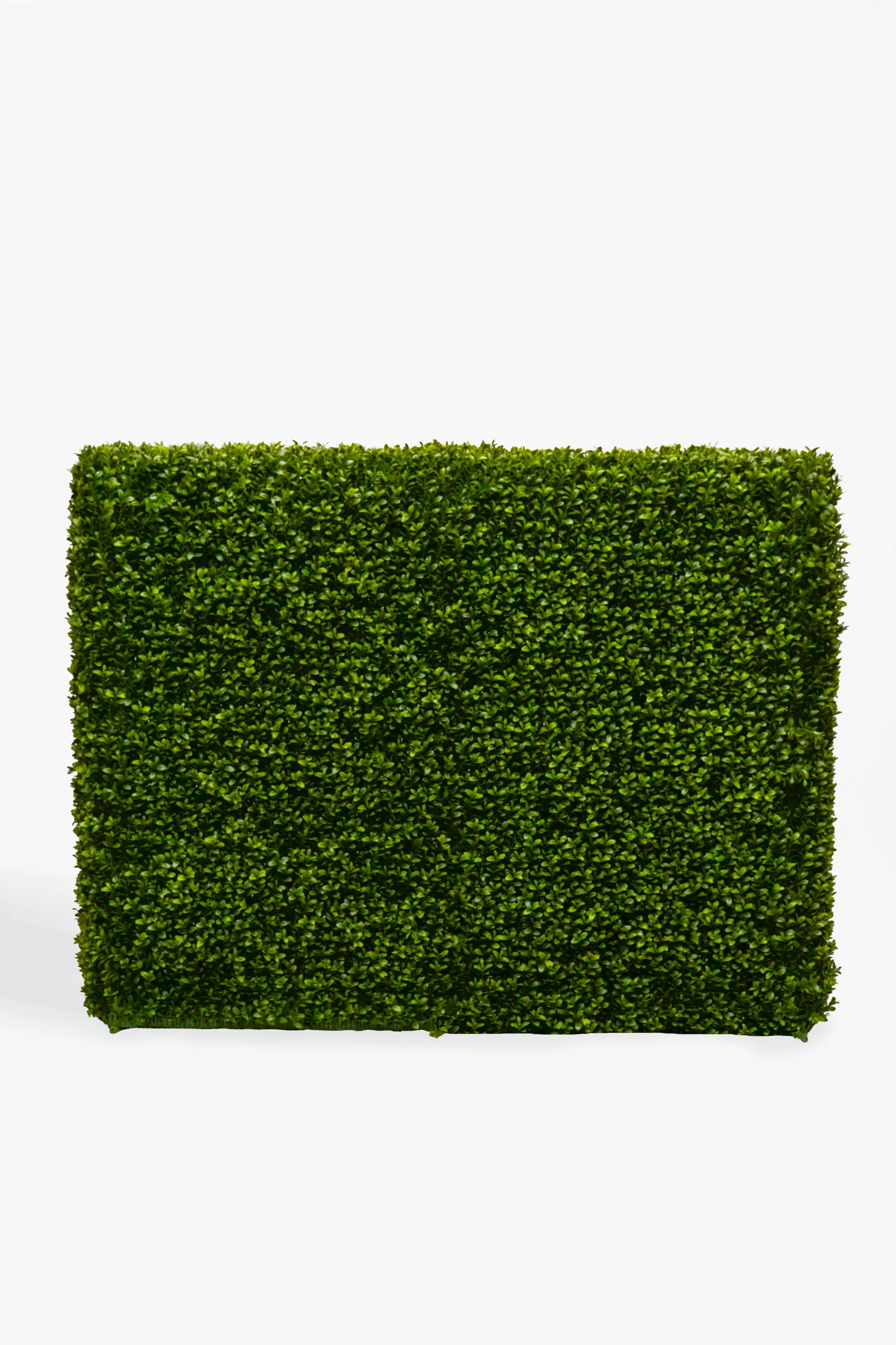 33 x 9 x 46 Boxwood Hedge Two Tone Green
