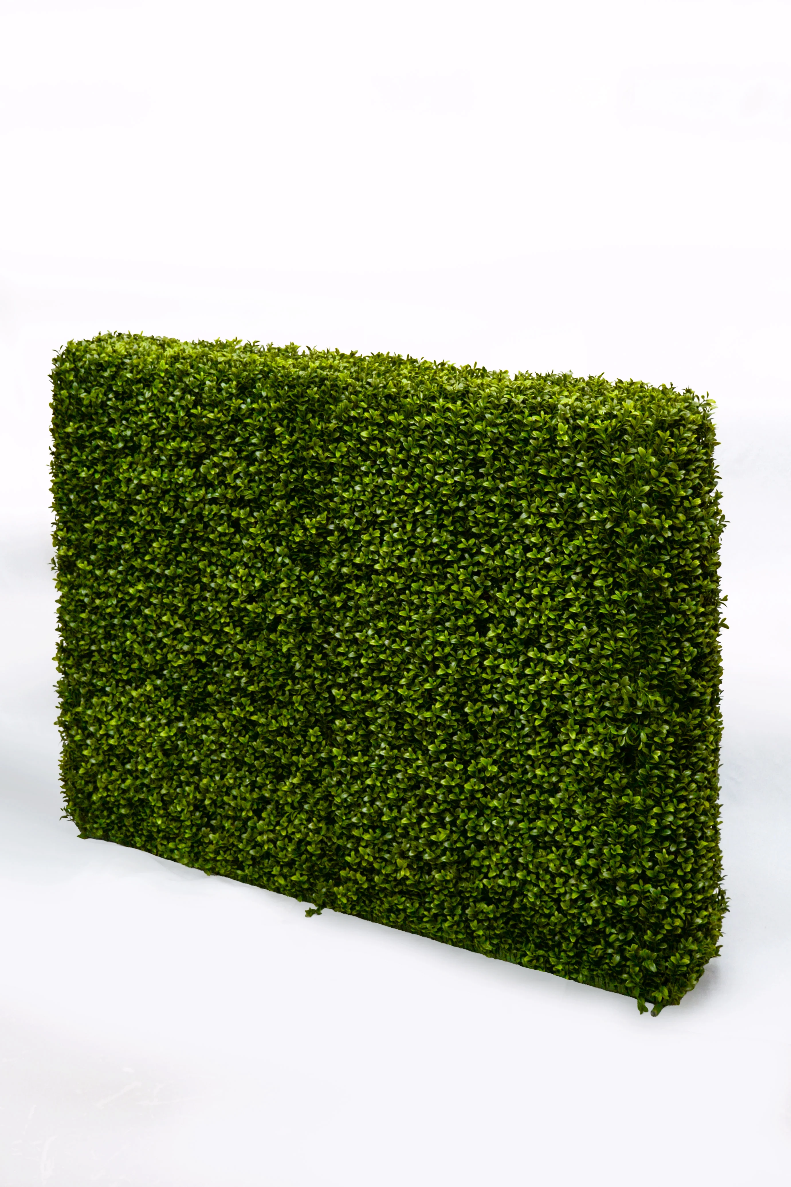 33 x 9 x 46 Boxwood Hedge Two Tone Green - Image 2