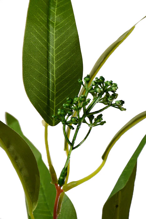 34.5" Willow Eucalyptus Spray Green - Image 2