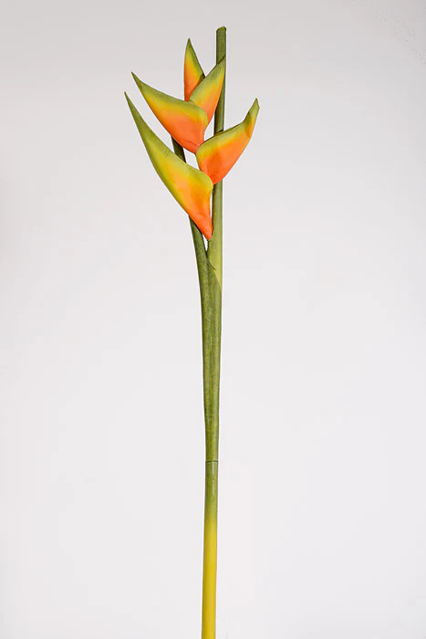 34" Artificial Hawaiian Heliconia Spray Orange