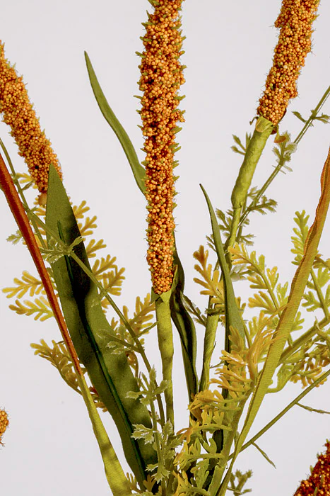 34" Grass/Tail Stem Mustard/Green - Image 2