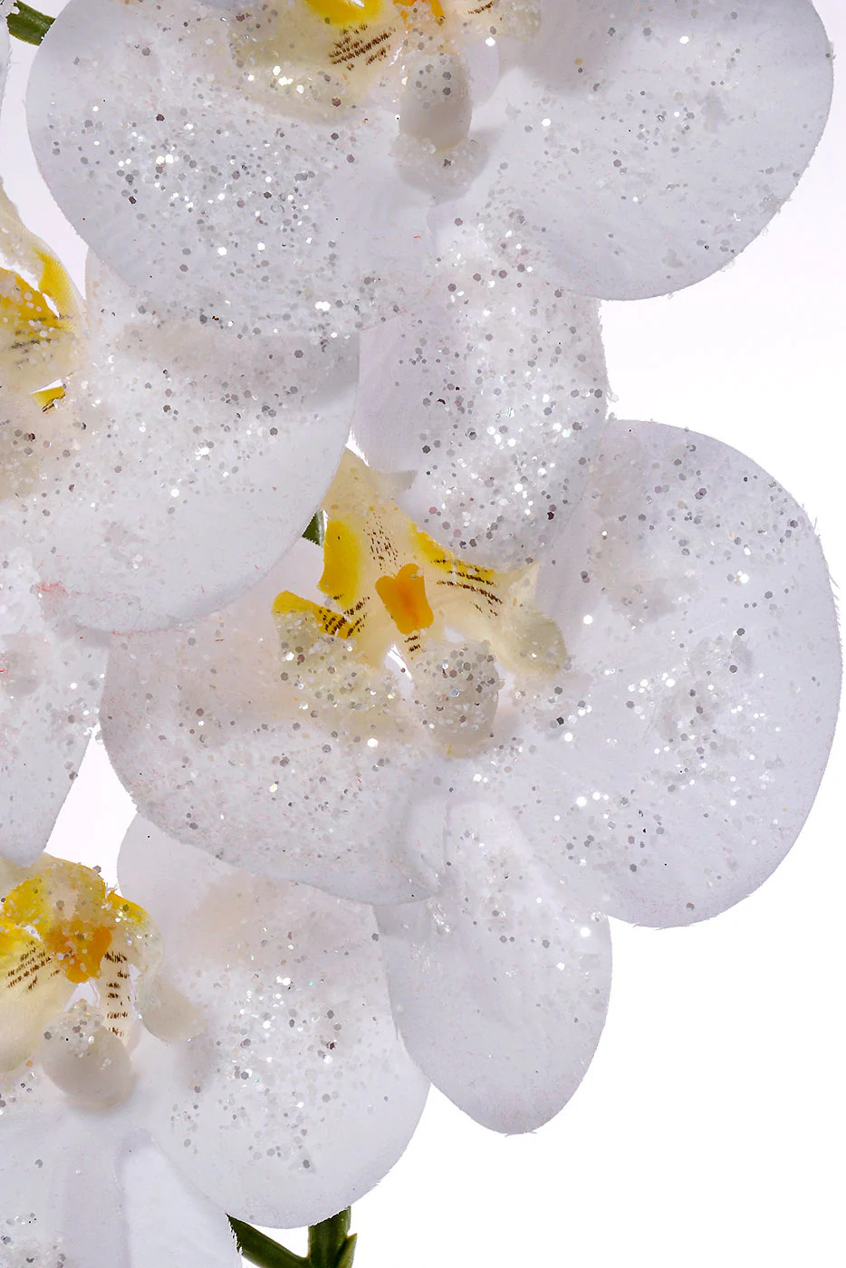 34'' Iced Phalaenopsis Spray White - Image 2