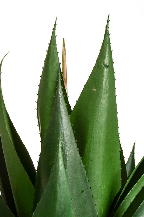 35.5" Artificial Agave Plant In Pot Green - Image 3
