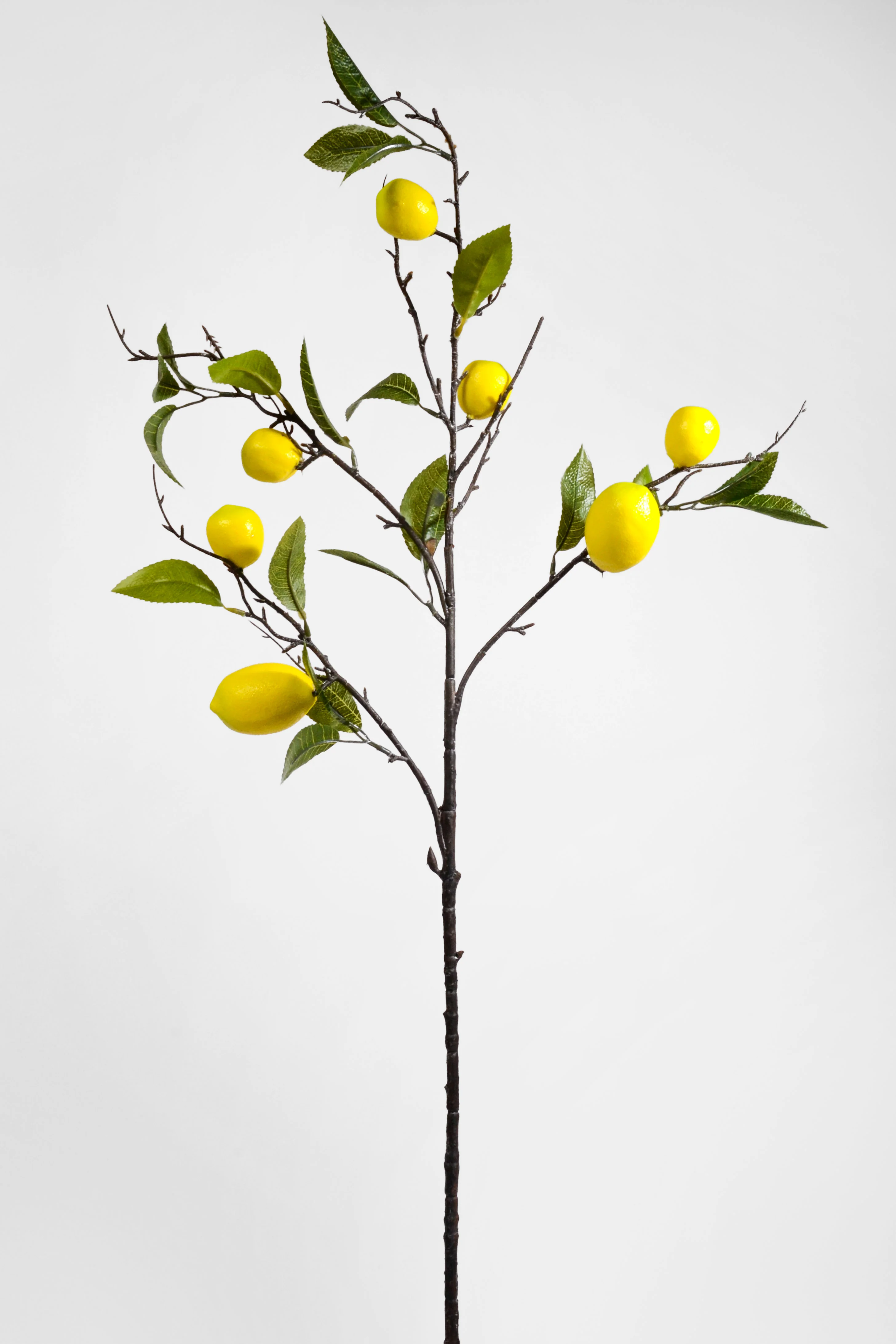 35.5'' Lemon Spray W/ Leaves Yellow/Green