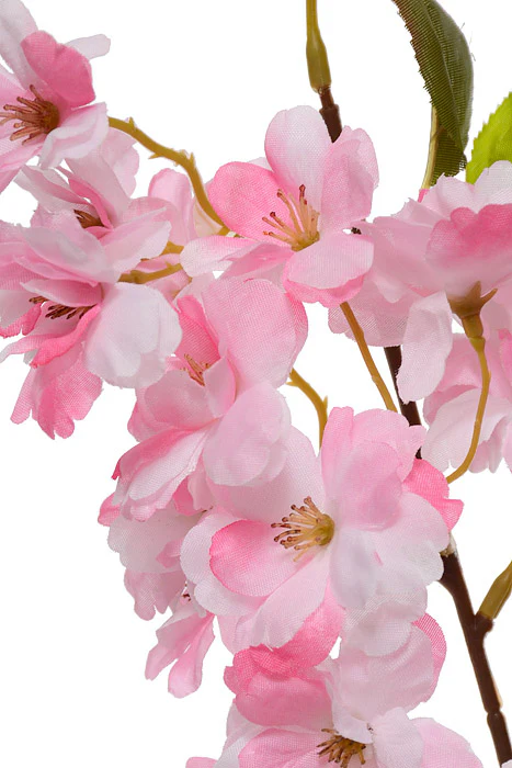 35.5" Silk Cherry Blossom Spray Pink - Image 2