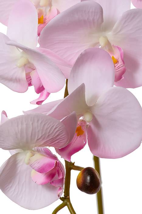 35.5" Silk Phalaenopsis Spray Light Pink - Image 2