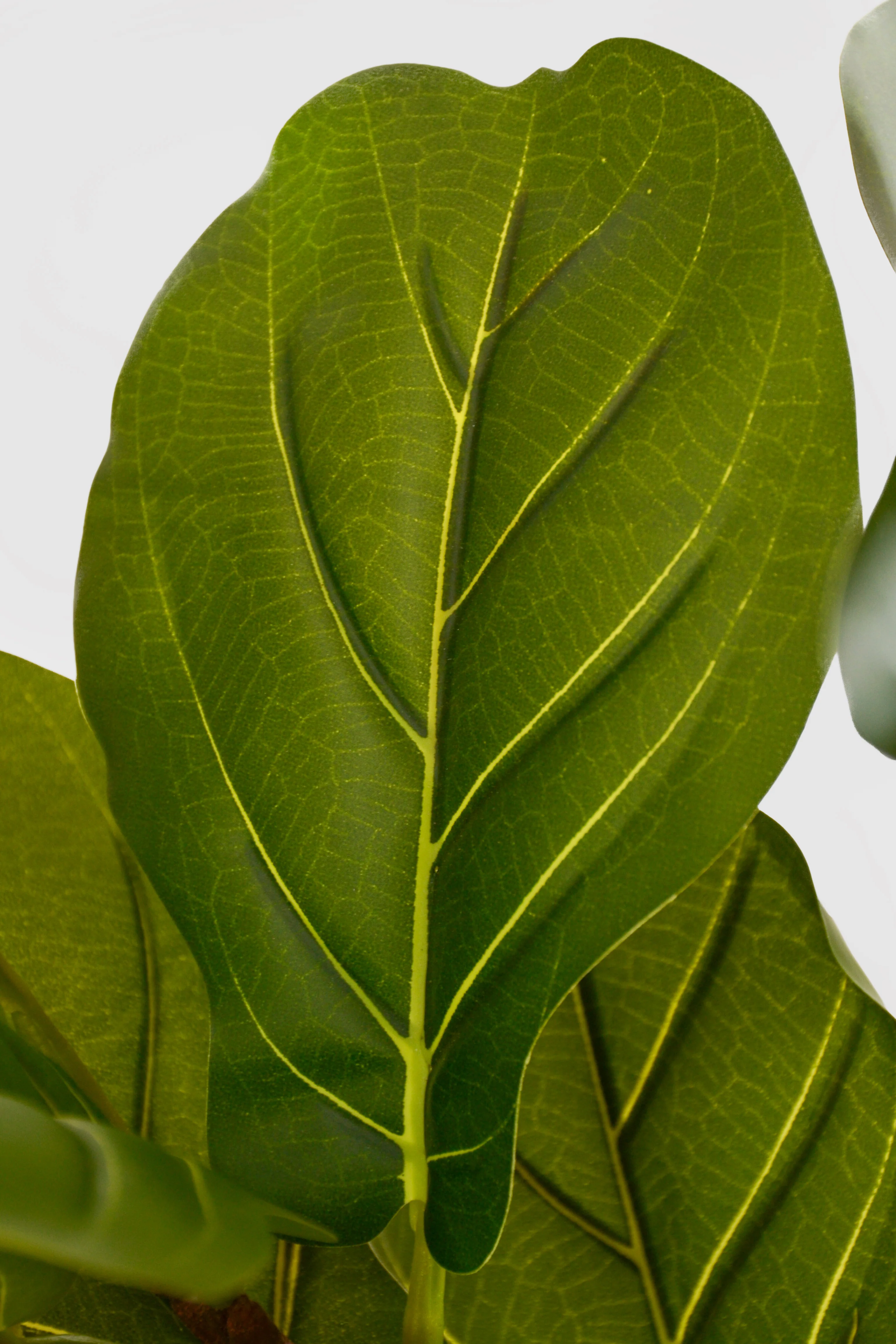 35" Artificial Fiddle Leaf Tree In Pot Green - Image 2