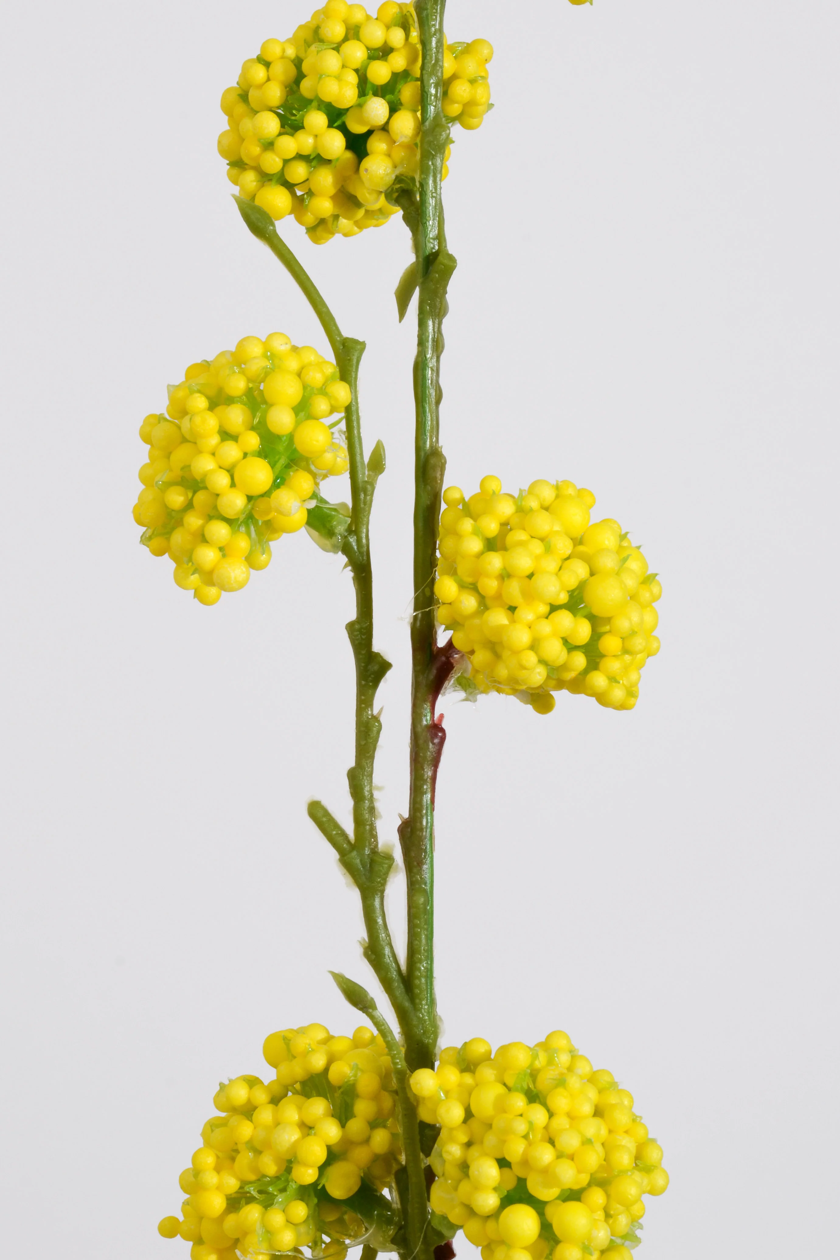 35'' Foam Mini Pom Pom Yellow - Image 2