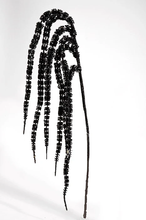 35" Glitter Hanging Amaranthus Spray Black