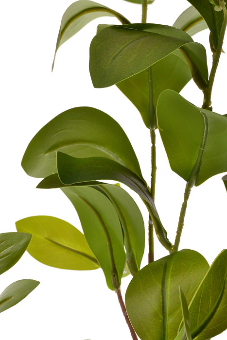 35" Laurel Leaf Spray Green - Image 2