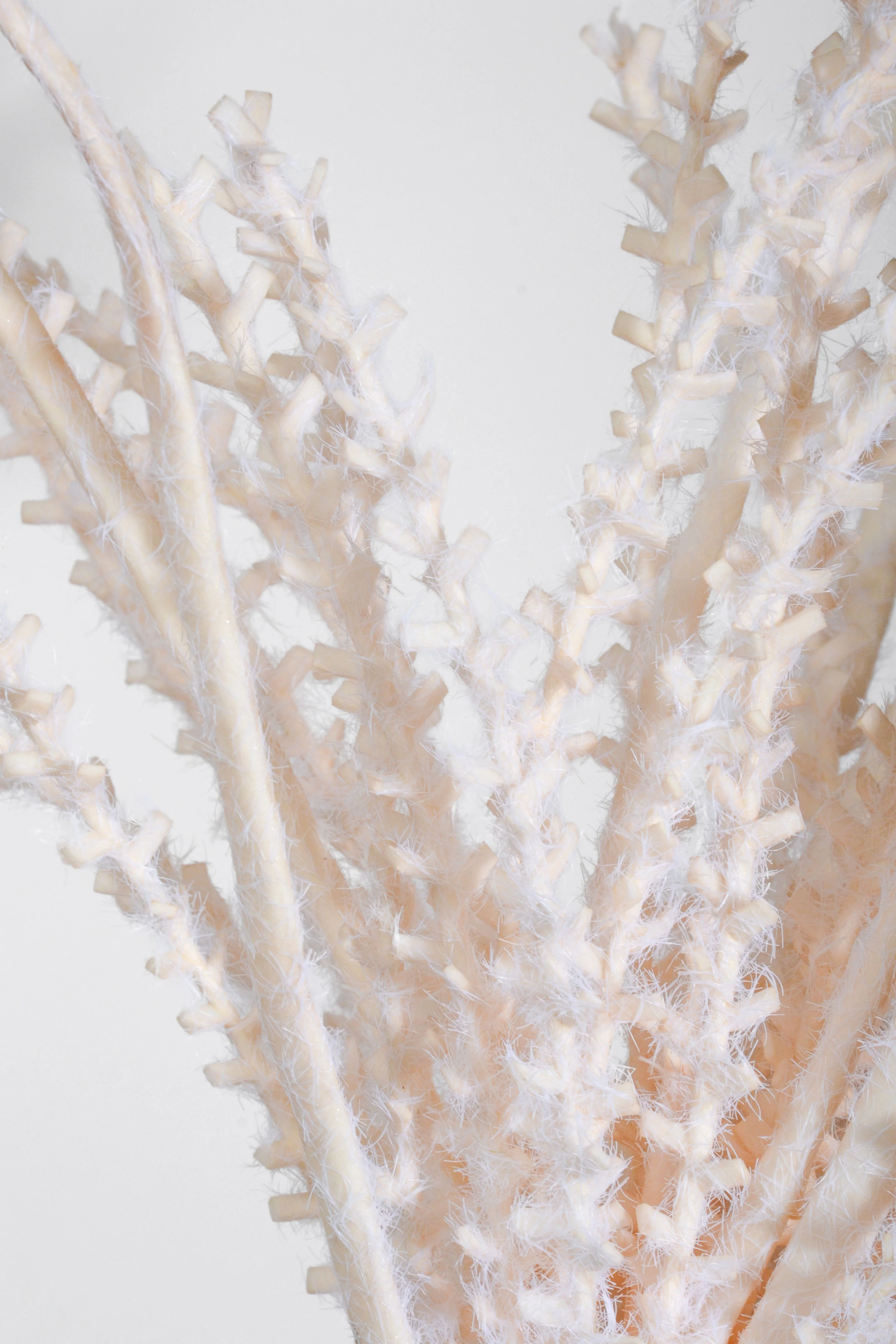 35" Pampas Stem Beige - Image 2