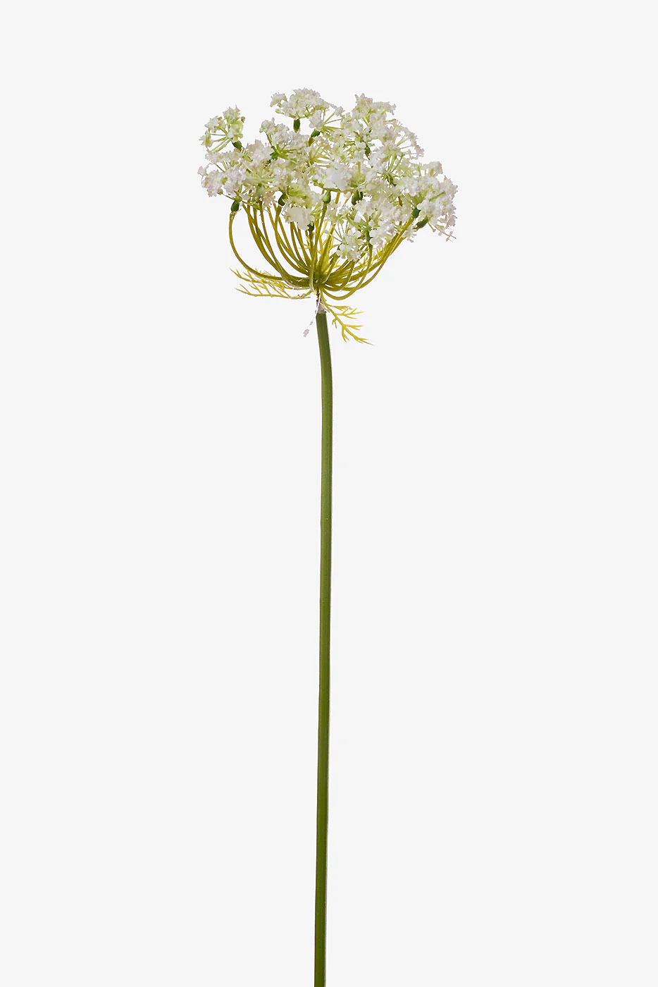 35" Queen Anne's Lace Spray White