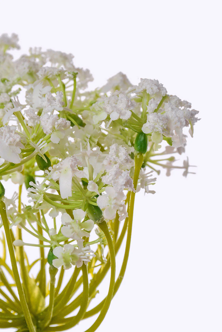 35" Queen Anne's Lace Spray White - Image 2