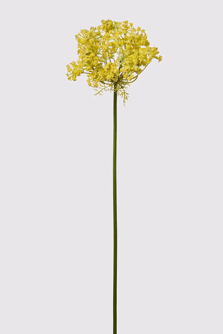 35" Queen Anne's Lace Spray Yellow