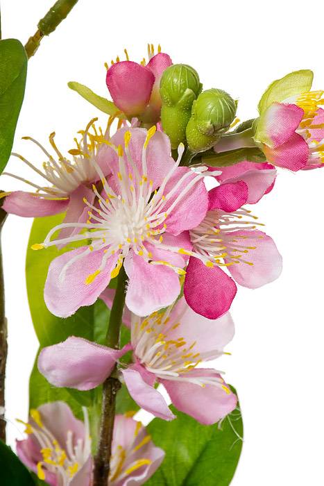 35" Silk Blossom Spray Pink - Image 2