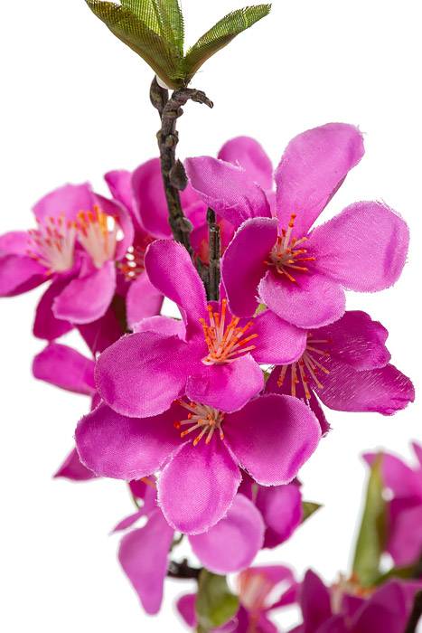 35" Silk Cherry Blossom Spray Violet - Image 2