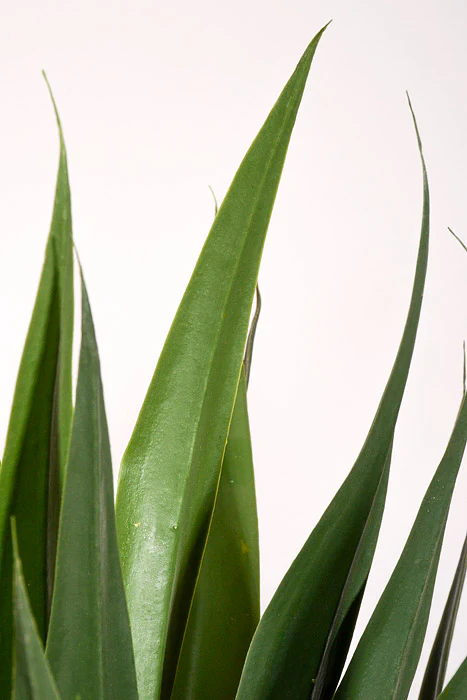 36" Artificial Agave Plant In Pot Green - Image 3