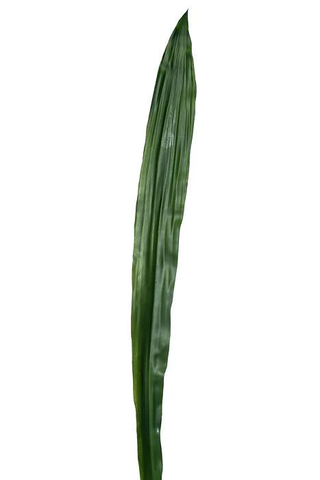 36" Artificial Sword Leaf Spray Green