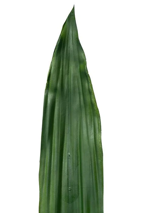 36" Artificial Sword Leaf Spray Green - Image 2