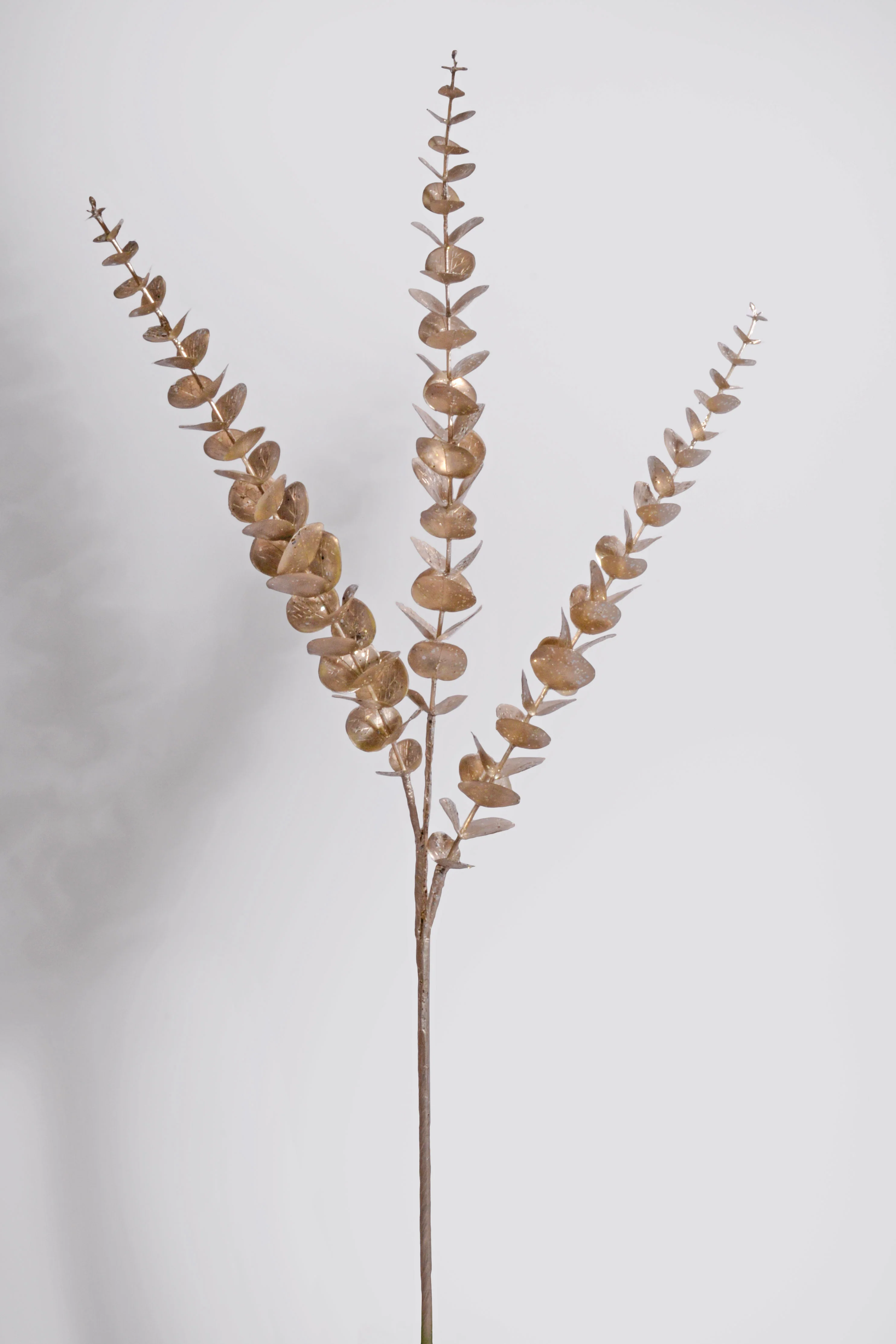 36" Eucalyptus Spray Champagne
