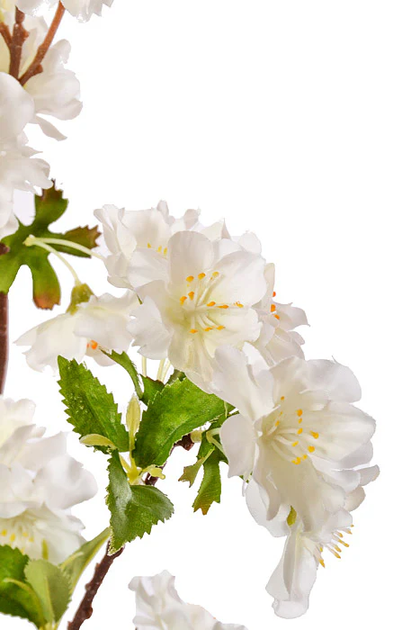 36" Silk Cherry Blossom Spray Cream - Image 2