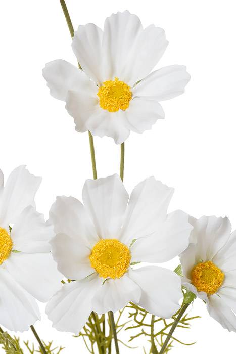 36" Silk Cosmos Spray White - Image 2