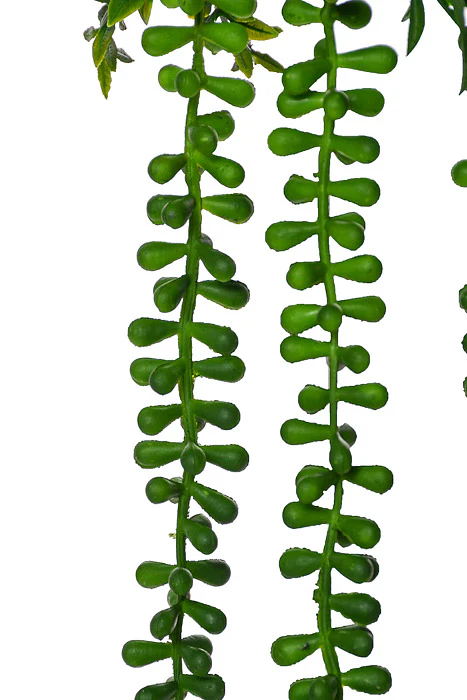 37.5" Bead Succulent Hanging Spray Green - Image 2
