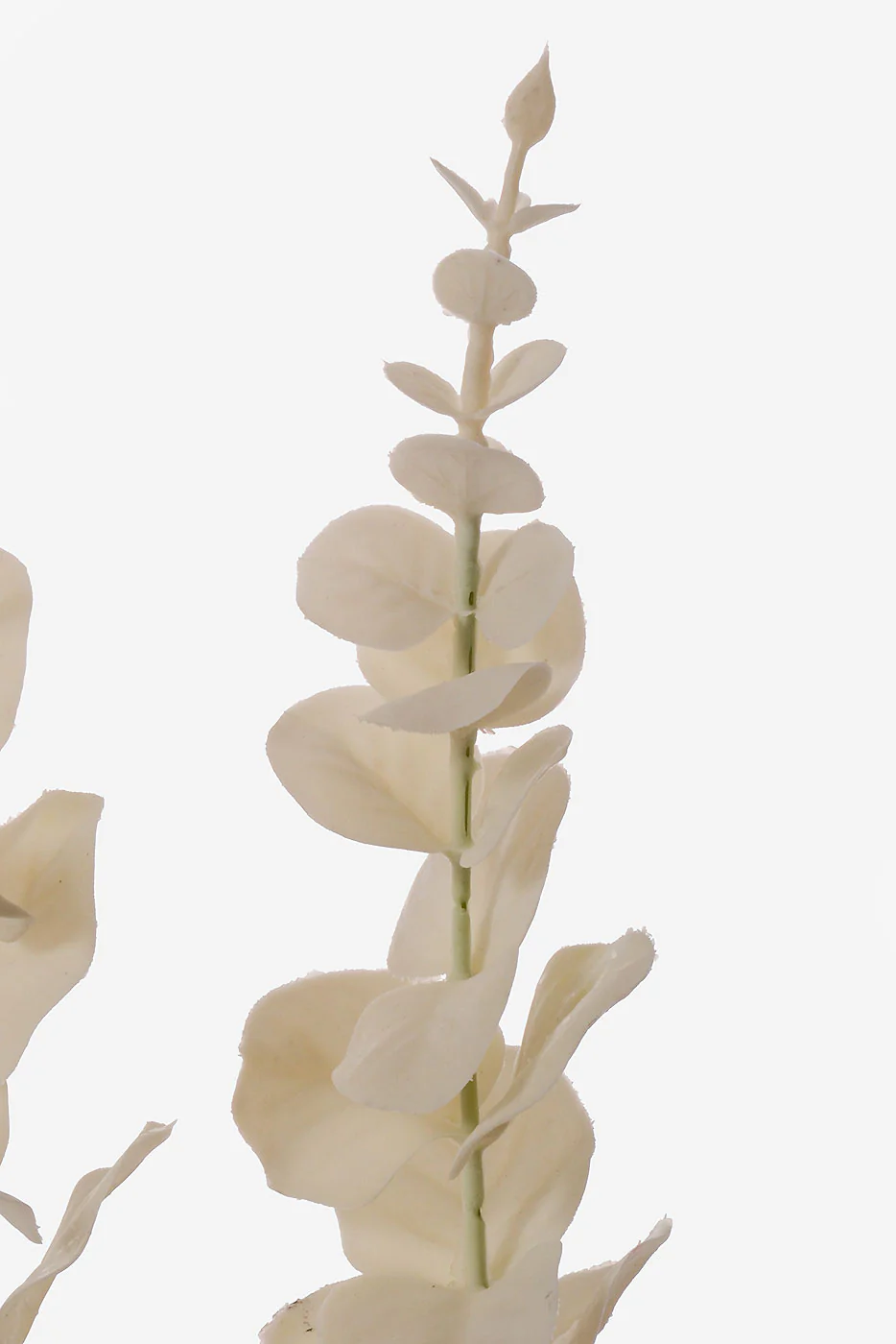 37" Artificial Eucalyptus Spray White - Image 2