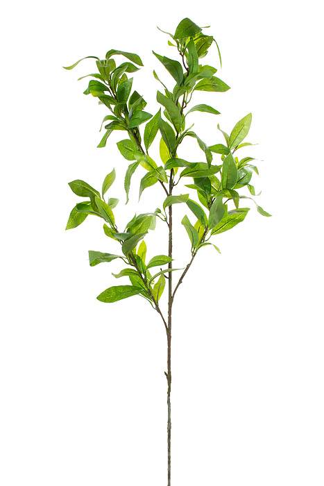 37" Artificial Laurel Leaf Spray Green